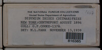 Image Associated With the Occurence